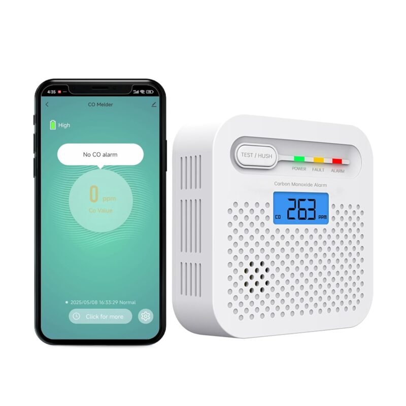 co detektor